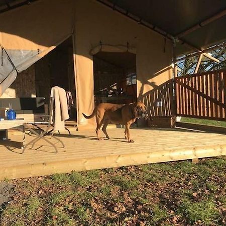 Lapwing Safari Tent Cheltenham Exteriör bild